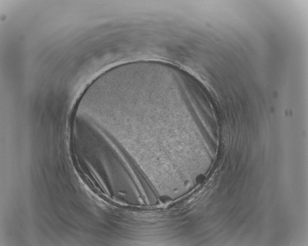 X0000072981508200608111728