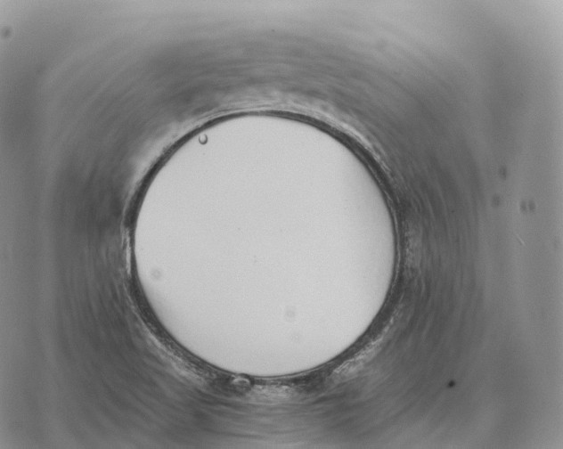 X0000072981509200608111728