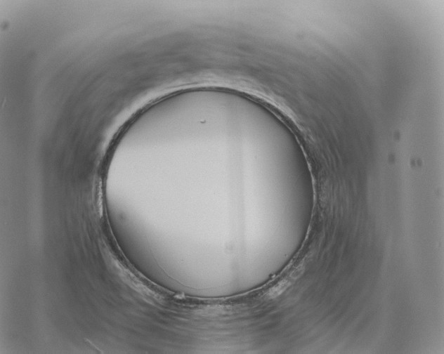 X0000072981510200608111728