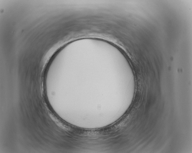 X0000072981511200608111728