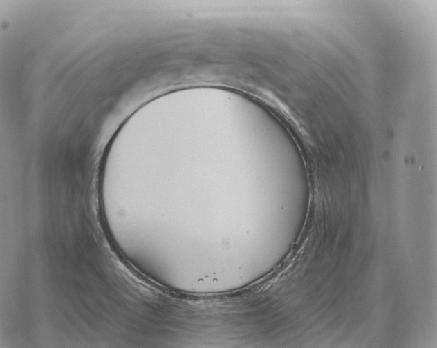 X0000072981512200608111728