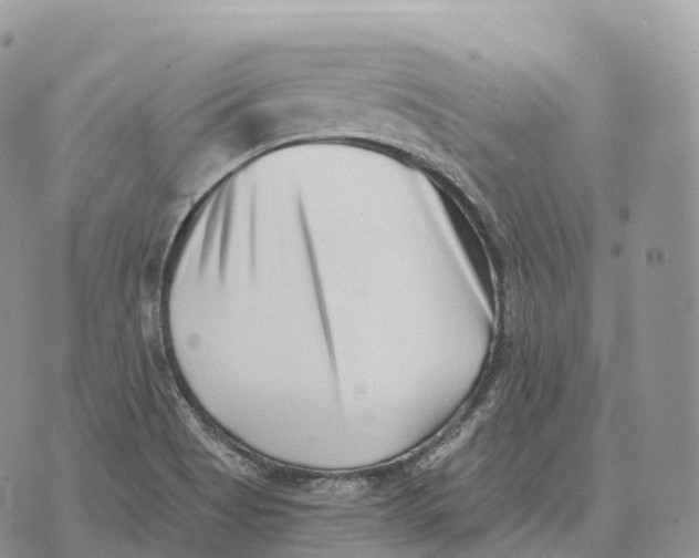 X0000072981513200608111728