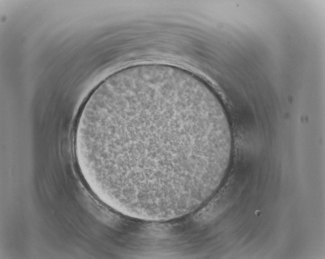 X0000072981514200608111728