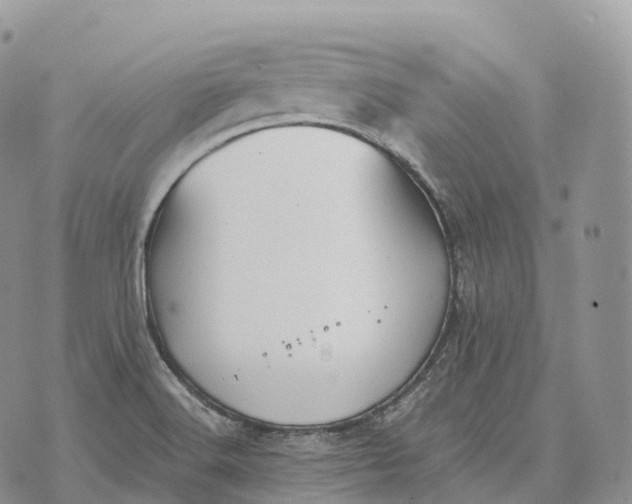 X0000072981516200608111728