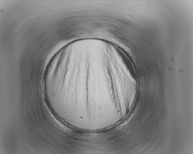 X0000072981517200608111728