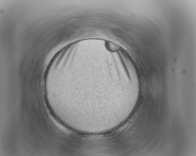 X0000072981519200608111728