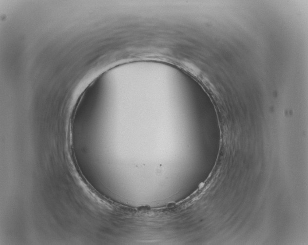 X0000072981520200608111728