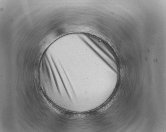 X0000072981521200608111728