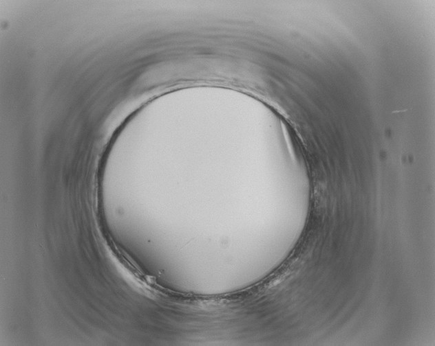 X0000072981523200608111728