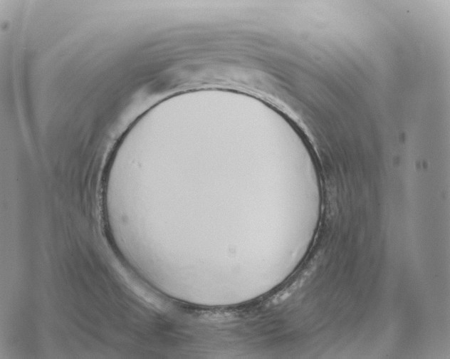 X0000072981525200608111728