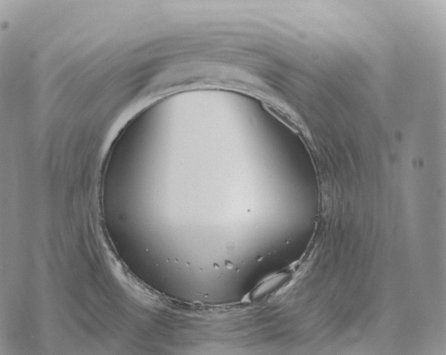 X0000072981530200608111728