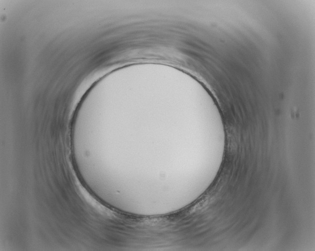 X0000072981531200608111728