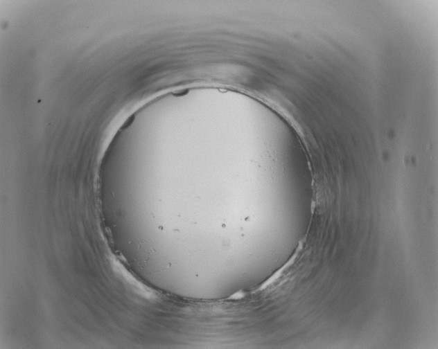 X0000072981532200608111729