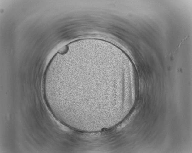 X0000072981533200608111729