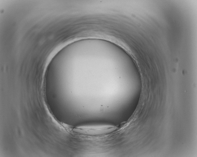 X0000072981536200608111729