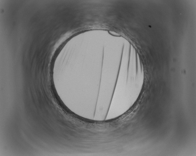 X0000072980008200608211401