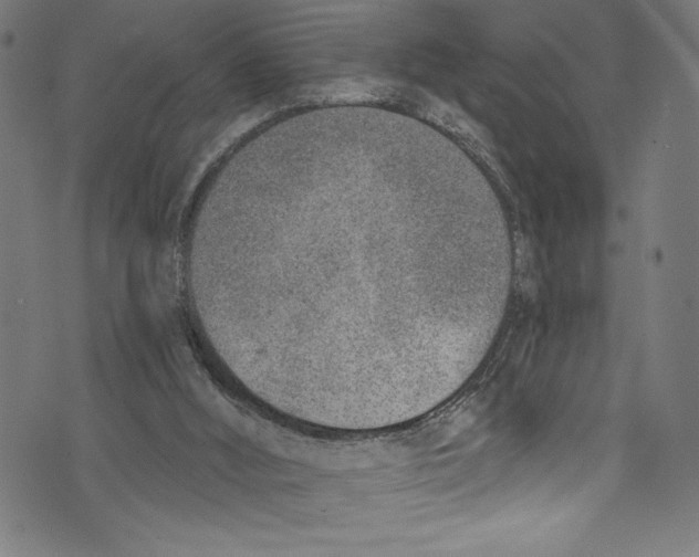 X0000072980012200608211401