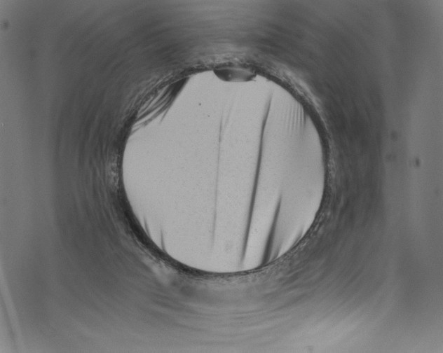 X0000072980017200608211401