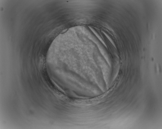 X0000072980029200608211401