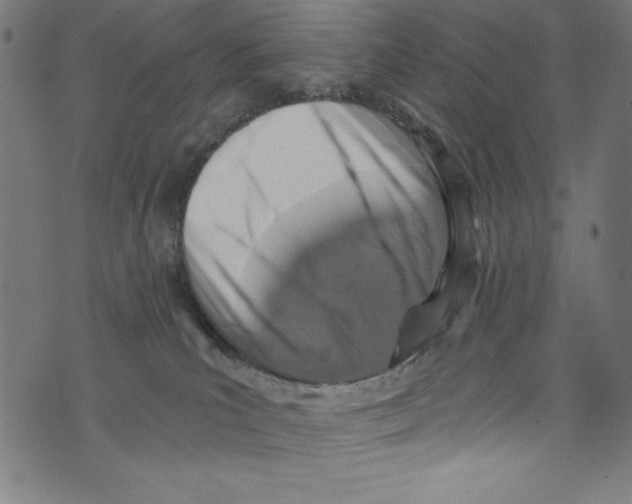 X0000072980039200608211401