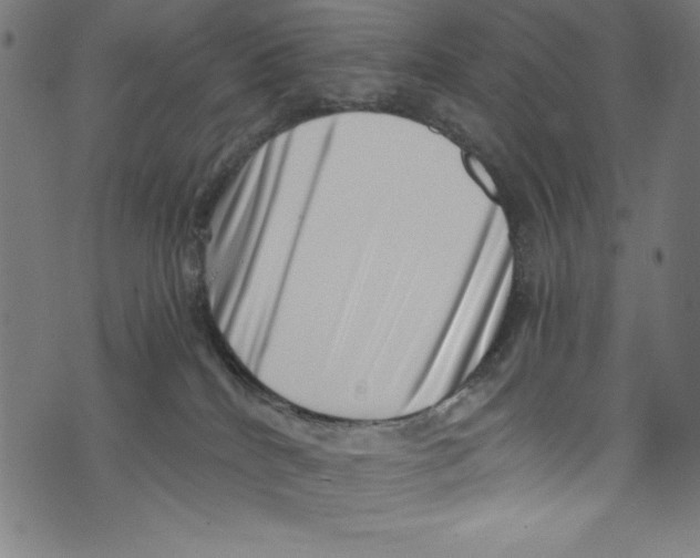 X0000072980040200608211400