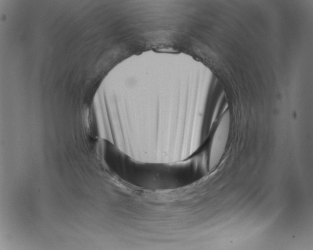 X0000072980041200608211400