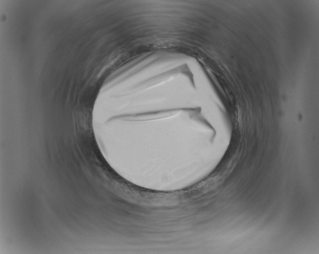 X0000072980044200608211400