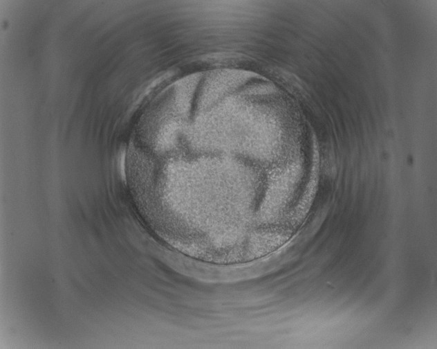 X0000072980047200608211400