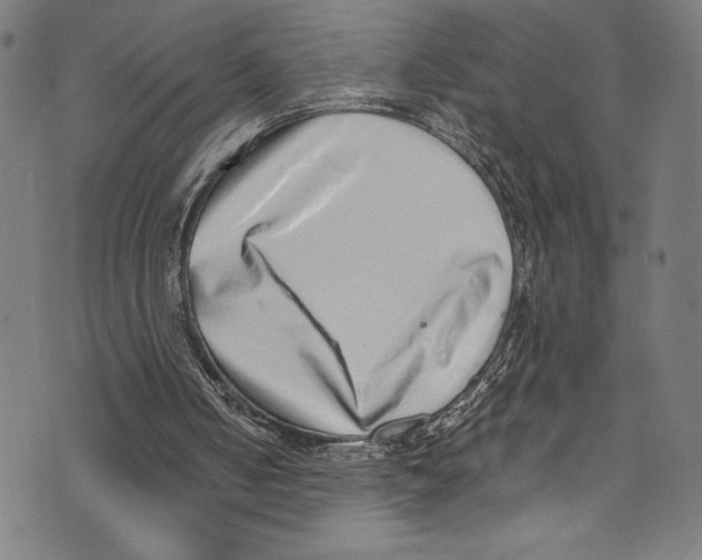 X0000072980050200608211400