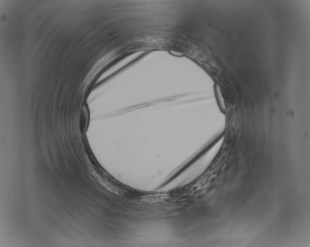 X0000072980051200608211400