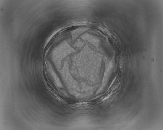 X0000072980052200608211400
