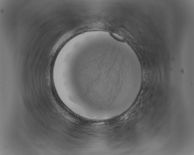 X0000072980054200608211400