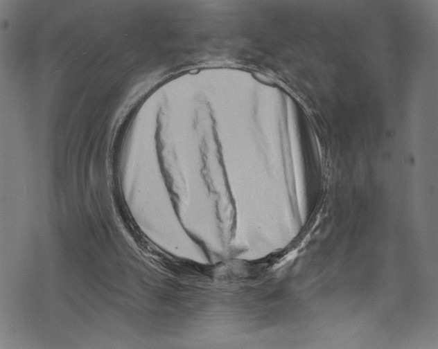 X0000072980055200608211400