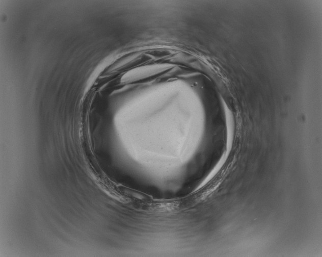 X0000072980056200608211400