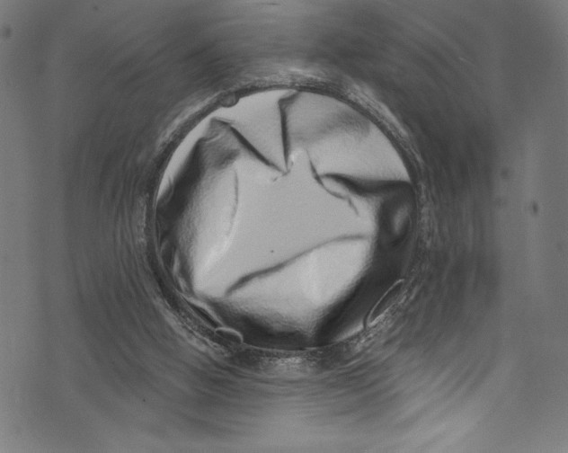 X0000072980058200608211400