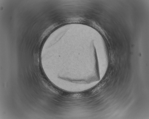 X0000072980059200608211400