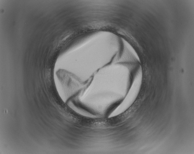 X0000072980066200608211400