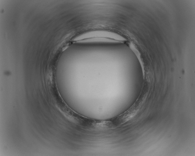 X0000072980072200608211400