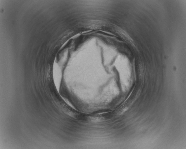 X0000072980073200608211400