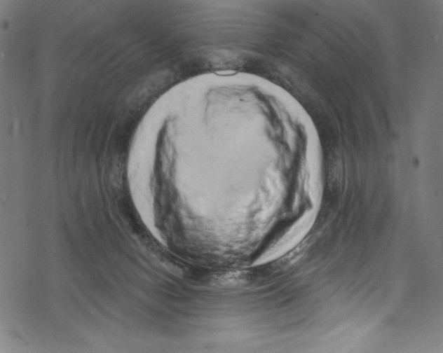 X0000072980078200608211400
