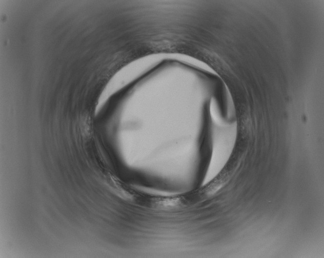 X0000072980081200608211400