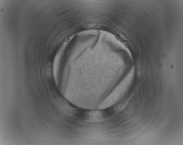 X0000072980085200608211400