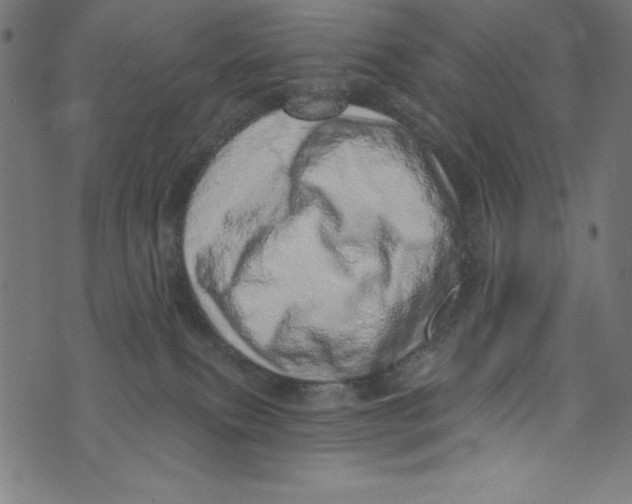 X0000072980087200608211400
