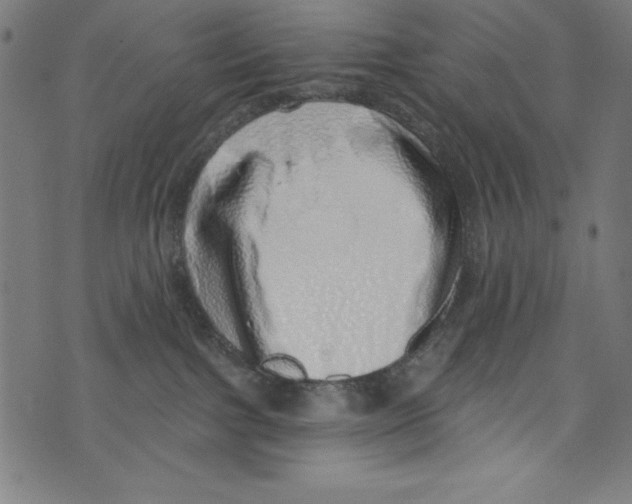 X0000072980091200608211400