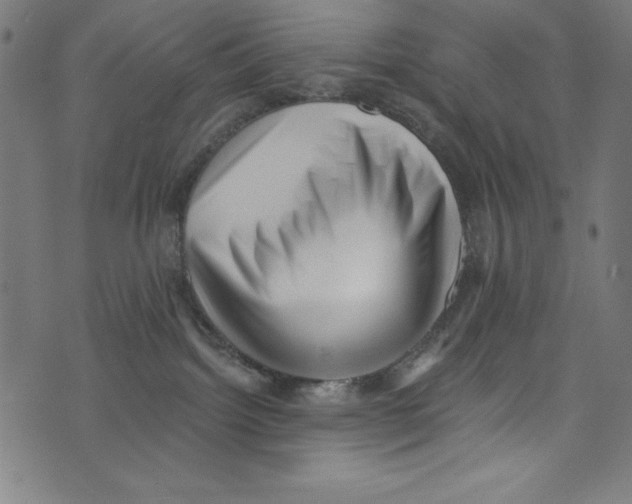 X0000072980092200608211400