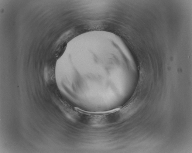 X0000072980096200608211400