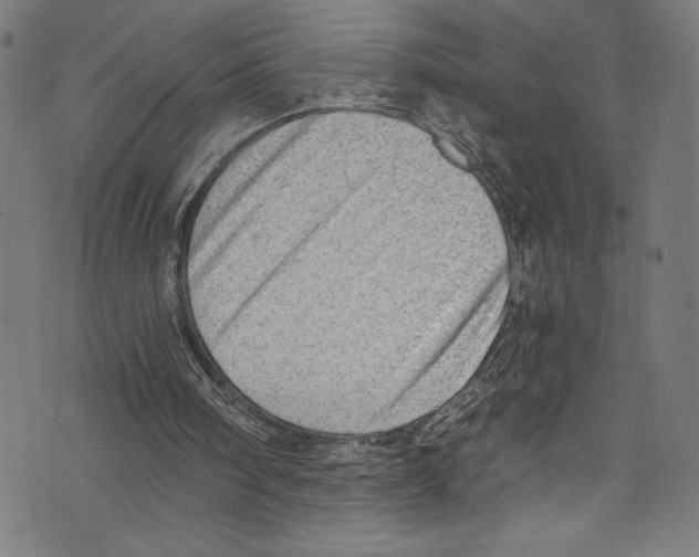 X0000072980098200608211400