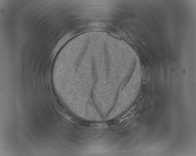X0000072980099200608211400