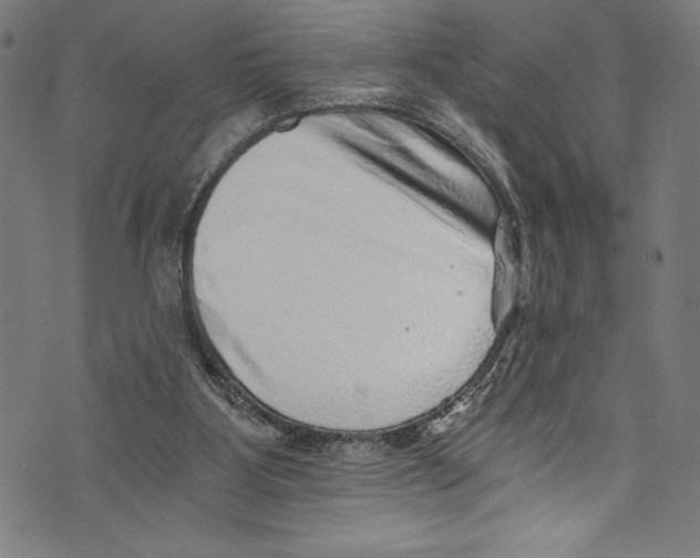 X0000072980107200608211359