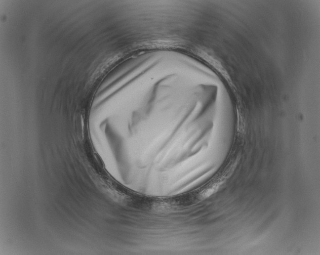 X0000072980109200608211359